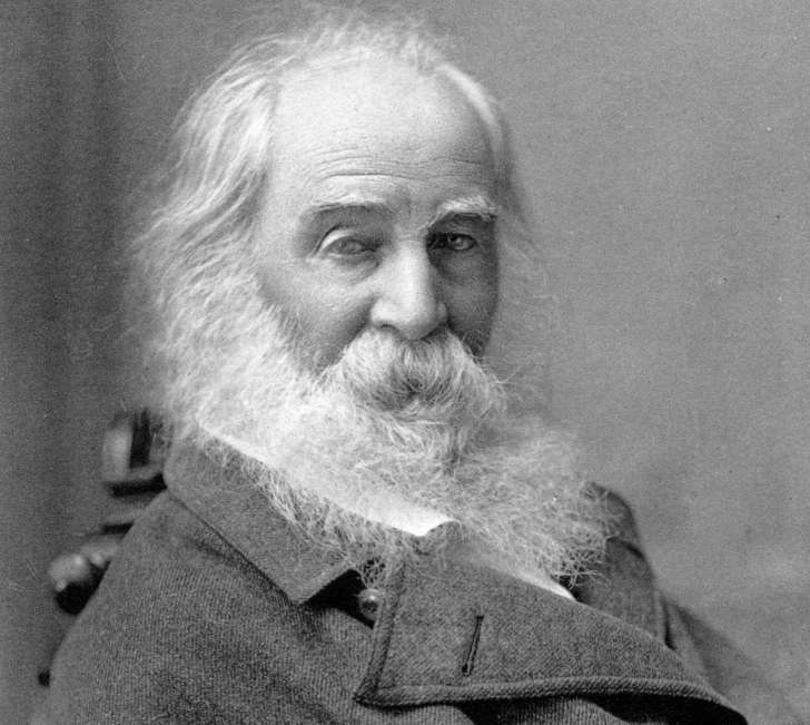 A photograph of Walt Whitman